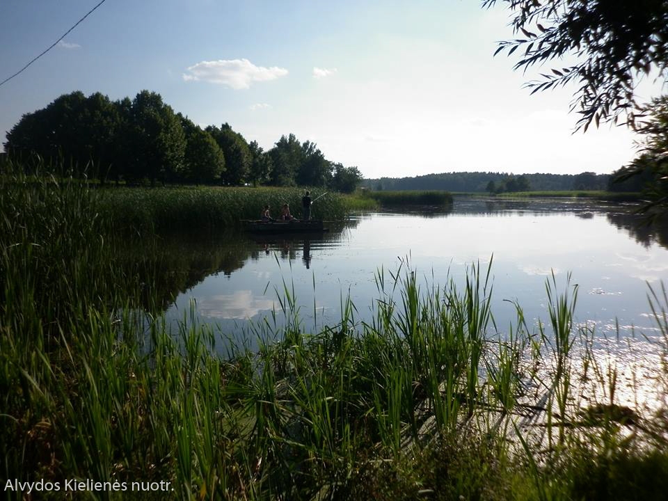 Alvydos Kielienės nuotr-2